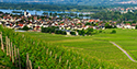 Oestrich-Winkel seen from Johannisberg