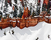 Bryce Canyon Hoodoos after early spring snow storm