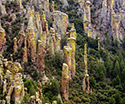 Hoodos in Totem Canyon from Massai Point at Chiricahua National Monument