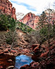 Zion National Park Lower Emerald Pool View of Red Arch Mountain with cascading water from middle pool