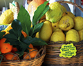 Amalfi Lemons, Oranges on sale