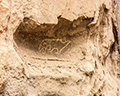 Macaw Petroglyph