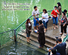 Yardenit Baptisms in River Jordan