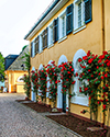 Schloss Johannisberg Rose Garden