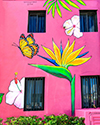 Curacao Wall Mural-Butterfly